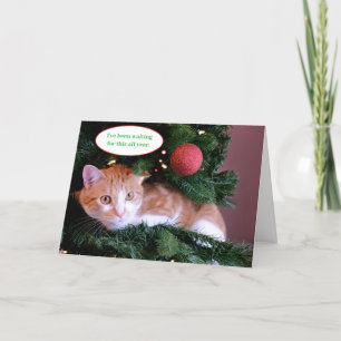 Green Funny Orange Cat in a Christmas Tree Holiday Card