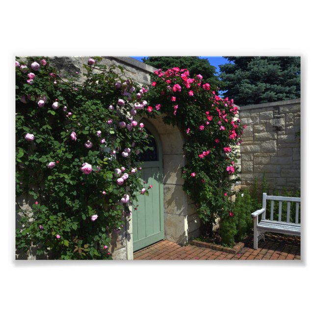 Green Garden Gate Door With Bench Photo Print (Front)