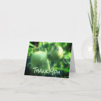 Green Garden Tomatoes Nature Thank You Card