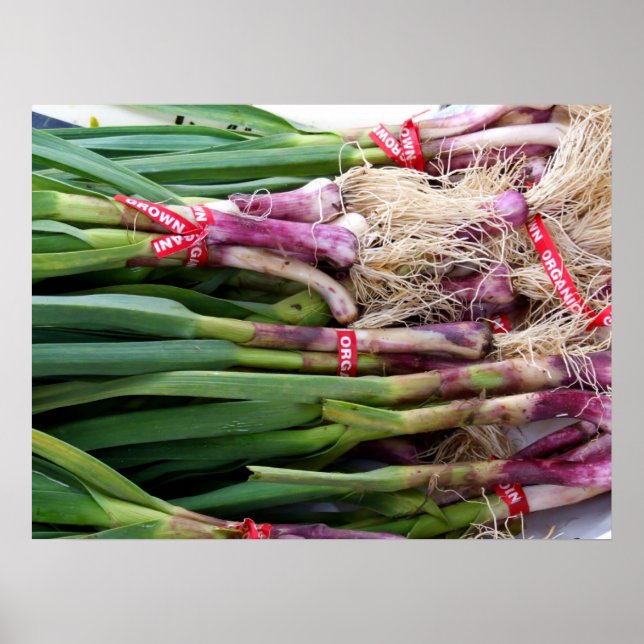 Green Garlic Poster (Front)