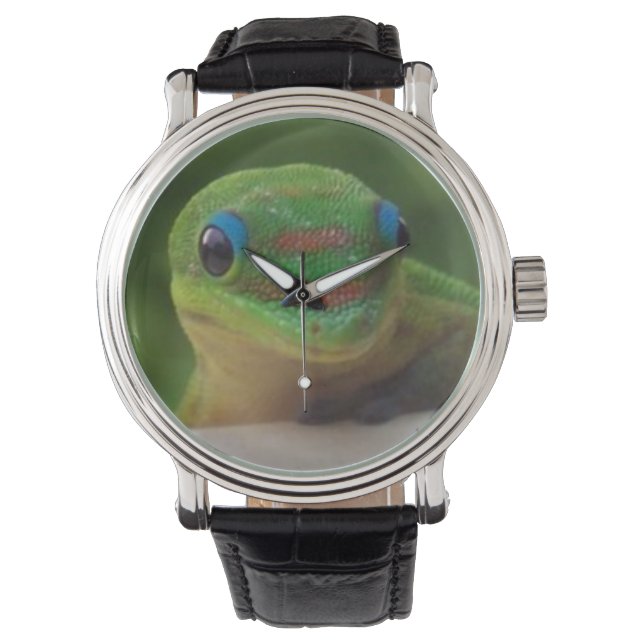 Green Gecko Watch (Front)