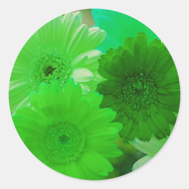 Green Gerbera Daisy Flowers Art Decal Stickers (Front)