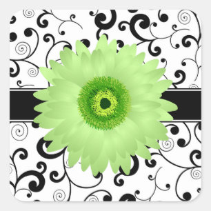 Green Gerbera Daisy with Black Scroll Design Seal