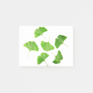 Green Ginkgo Biloba Post-it Notes
