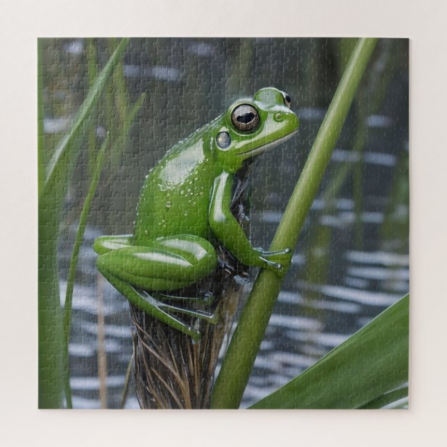 Green Glass Frog On Reeds At The River, Jigsaw Puzzle (Vertical)