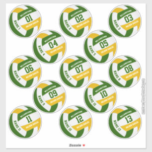 green gold volleyball team colours players names