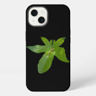 Green Grape Leaf Frog, iPhone 13 Case