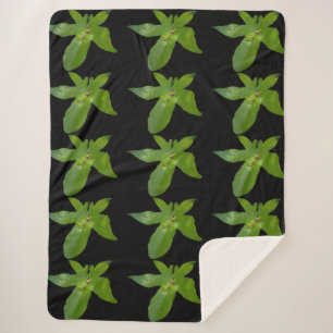 Green Grape Leaf Frog, Large Sherpa Blanket