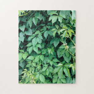 Green Grape Leaves Jigsaw Puzzle