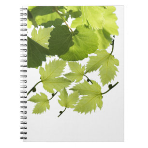 Green Grape Vine Leaves Notebook