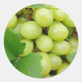 Green Grapes Classic Round Sticker