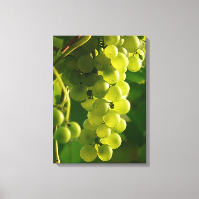 Green Grapes on Vine Canvas Print (Front)