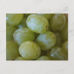 Green Grapes Postcard