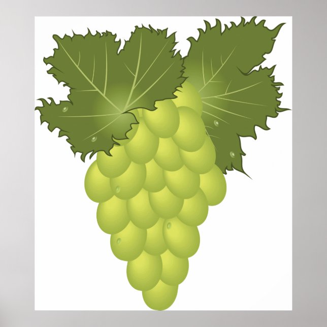 Green Grapes Poster (Front)