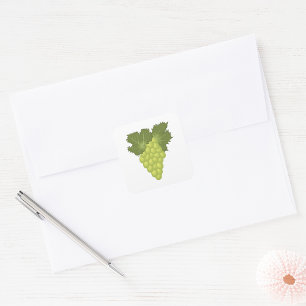 Green Grapes Vine Leaves Fresh Fruit Square Sticker