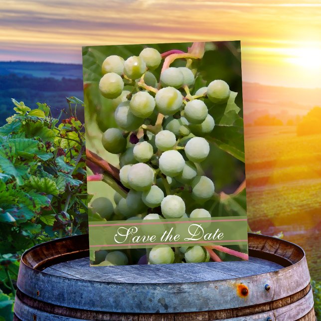 Green Grapes Vineyard Wedding Save the Date Invitation (Creator Uploaded)