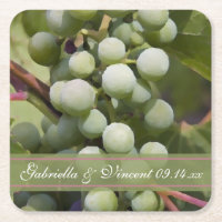 Green Grapes Vineyard Wedding