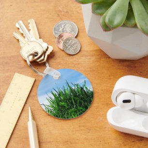 Green grass against the background of the endless key ring