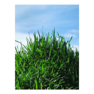 Green grass against the background of the endless  photo print
