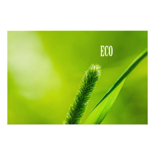 Green Grass And Sun - Eco Photo Print