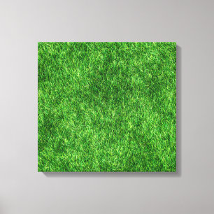 Green Grass Canvas Print