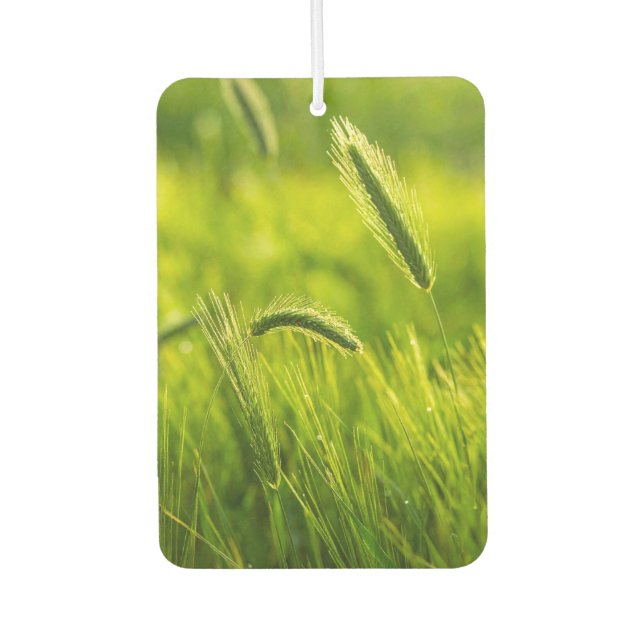 green grass car air freshener (Front)