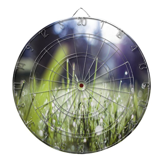 Green Grass Dartboard (Front)