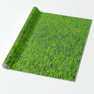 Green grass design wrapping paper