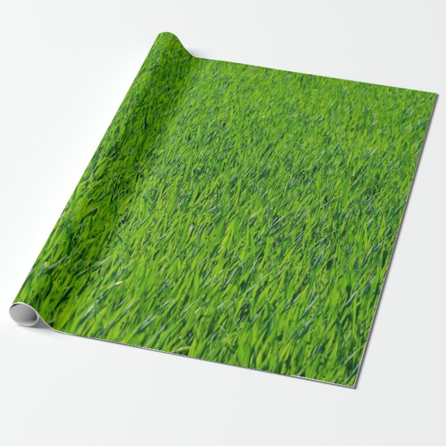 Green grass design wrapping paper (Unrolled)