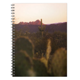 GREEN GRASS FIELD NOTEBOOK
