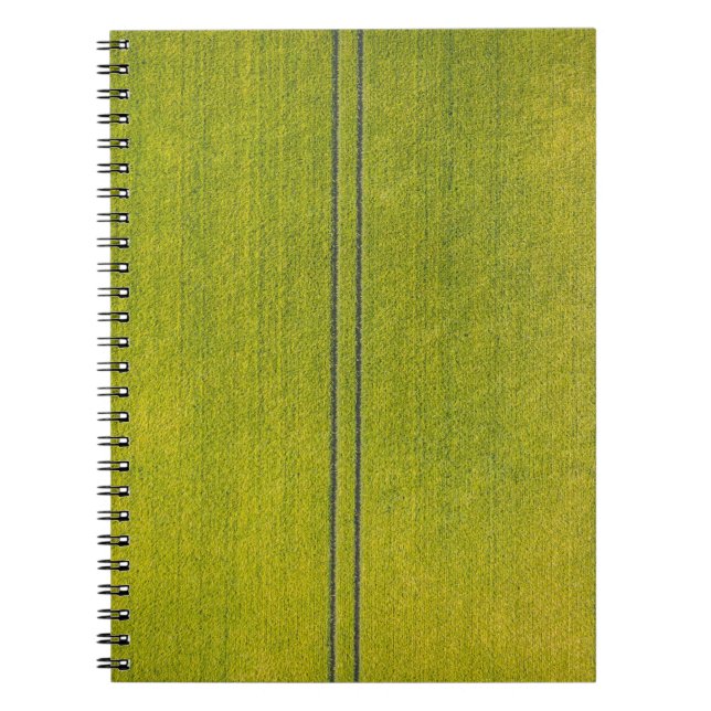 Green grass field notebook (Front)