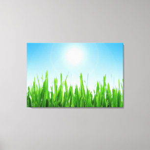Green Grass Garden with Blue Sky Design Canvas Print