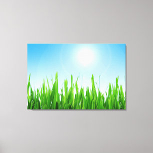 Green Grass Garden with Blue Sky Design Canvas Print