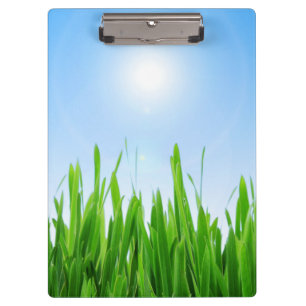 Green Grass Garden with Blue Sky Design Clipboard