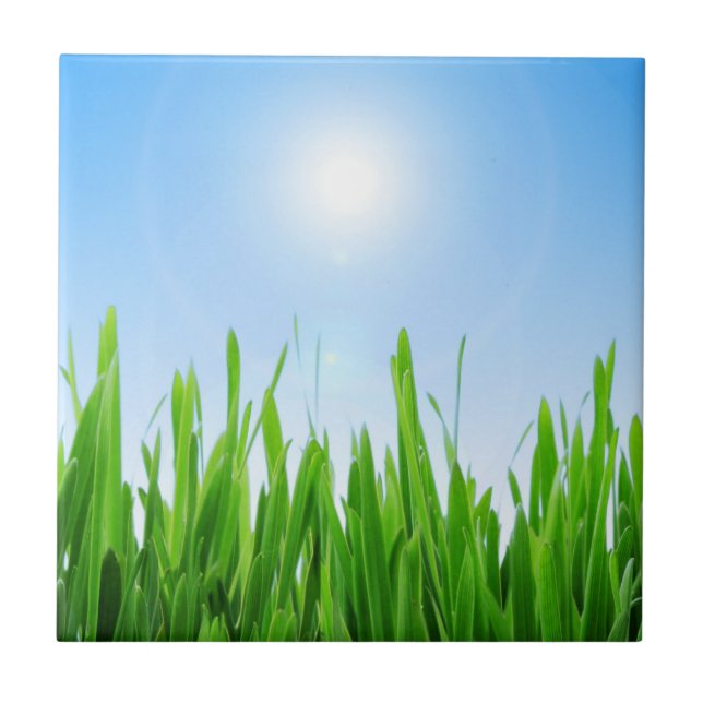 Green Grass Garden with Blue Sky Design Tile (Front)