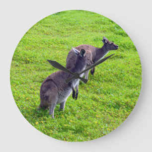 Green Grass Kangaroos, Wall Clock
