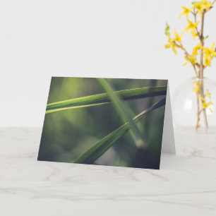 Green Grass Nature Photo Card