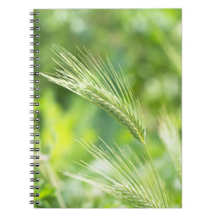 Green grass notebook