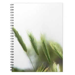 Green grass notebook