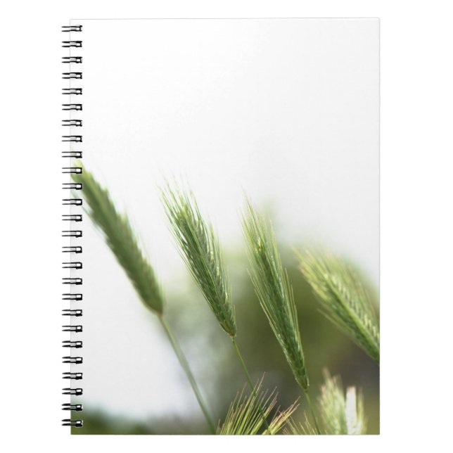 Green grass notebook (Front)