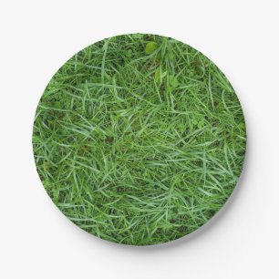 green grass paper plate