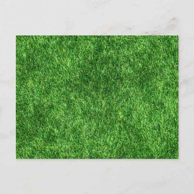 Green Grass Postcard (Front)