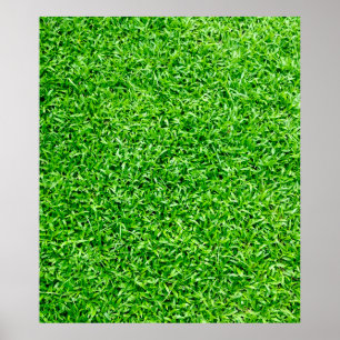 Green grass poster