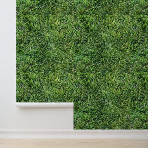 Green grass real photo texture pattern backdrop wallpaper