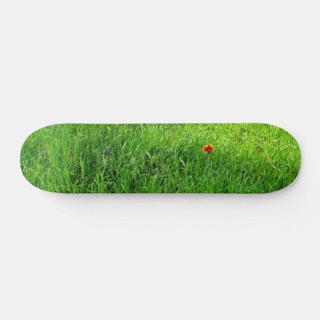 Green Grass Skateboard (Horz)