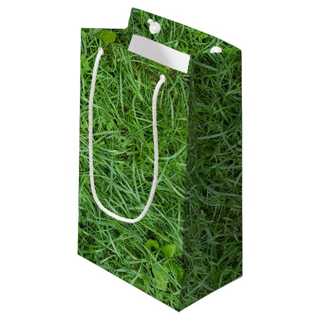 green grass small gift bag (Front Angled)