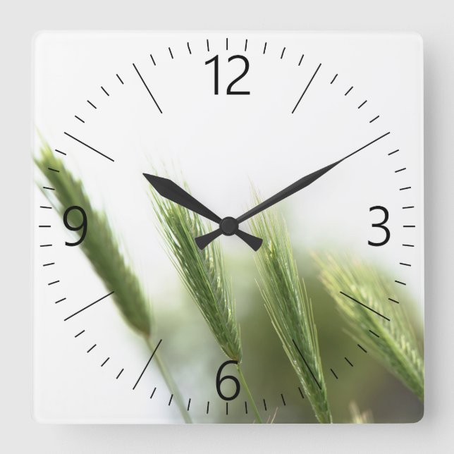 Green grass square wall clock (Front)