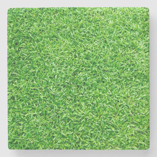 Green grass stone coaster (Front)