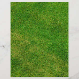 Green Grass Texture