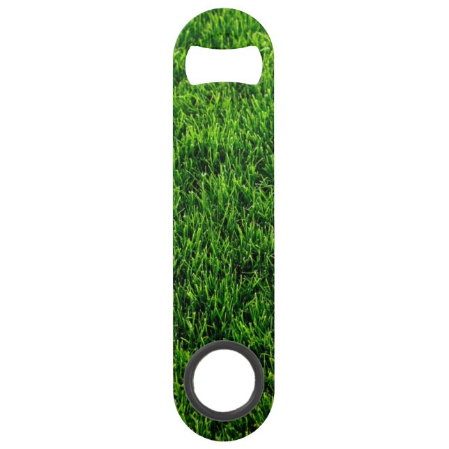 Green grass texture from a soccer field (Front)